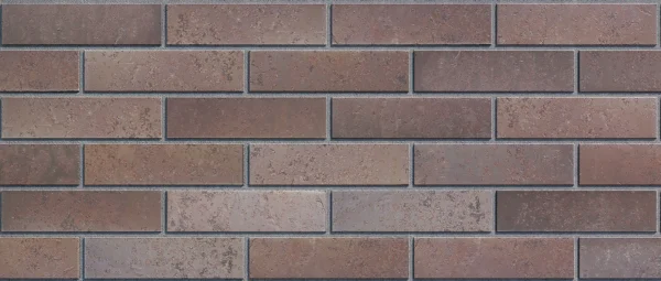 Тайга Юг 250*60*65 — изображение 2